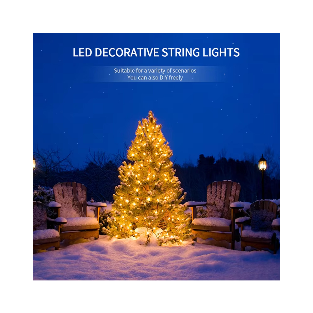 Outdoor Christmas Lights