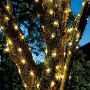 Outdoor String Lights Powerbee Ltd, Outdoor Garden Lights Uk Mains