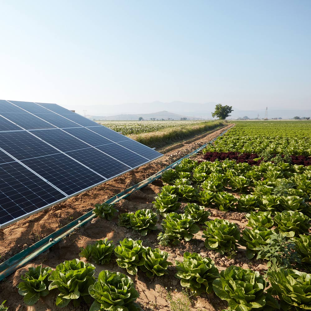 Solar Irrigation System