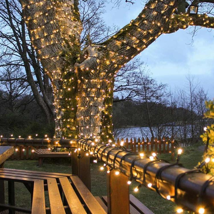 Connect Pro Outdoor Lights
