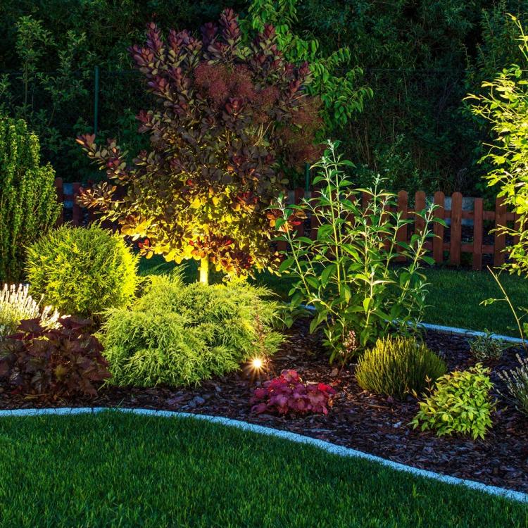 Garden Lights