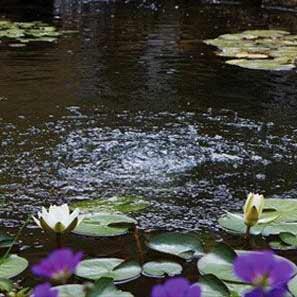Solar Air Pumps & Pond Oxygenators