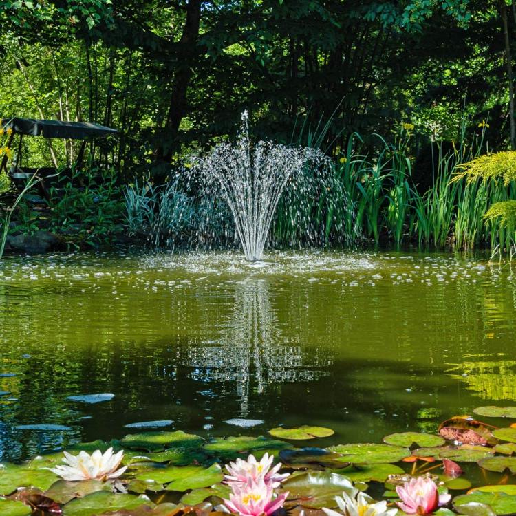 Solar Pond Pumps