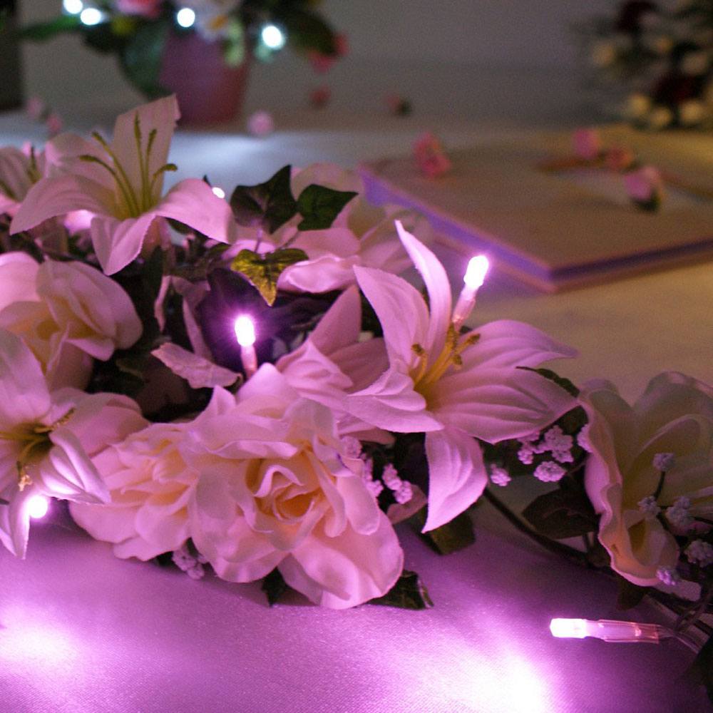 1m Battery Fairy Lights, 10 Pink LEDs, Clear Cable : on flowers