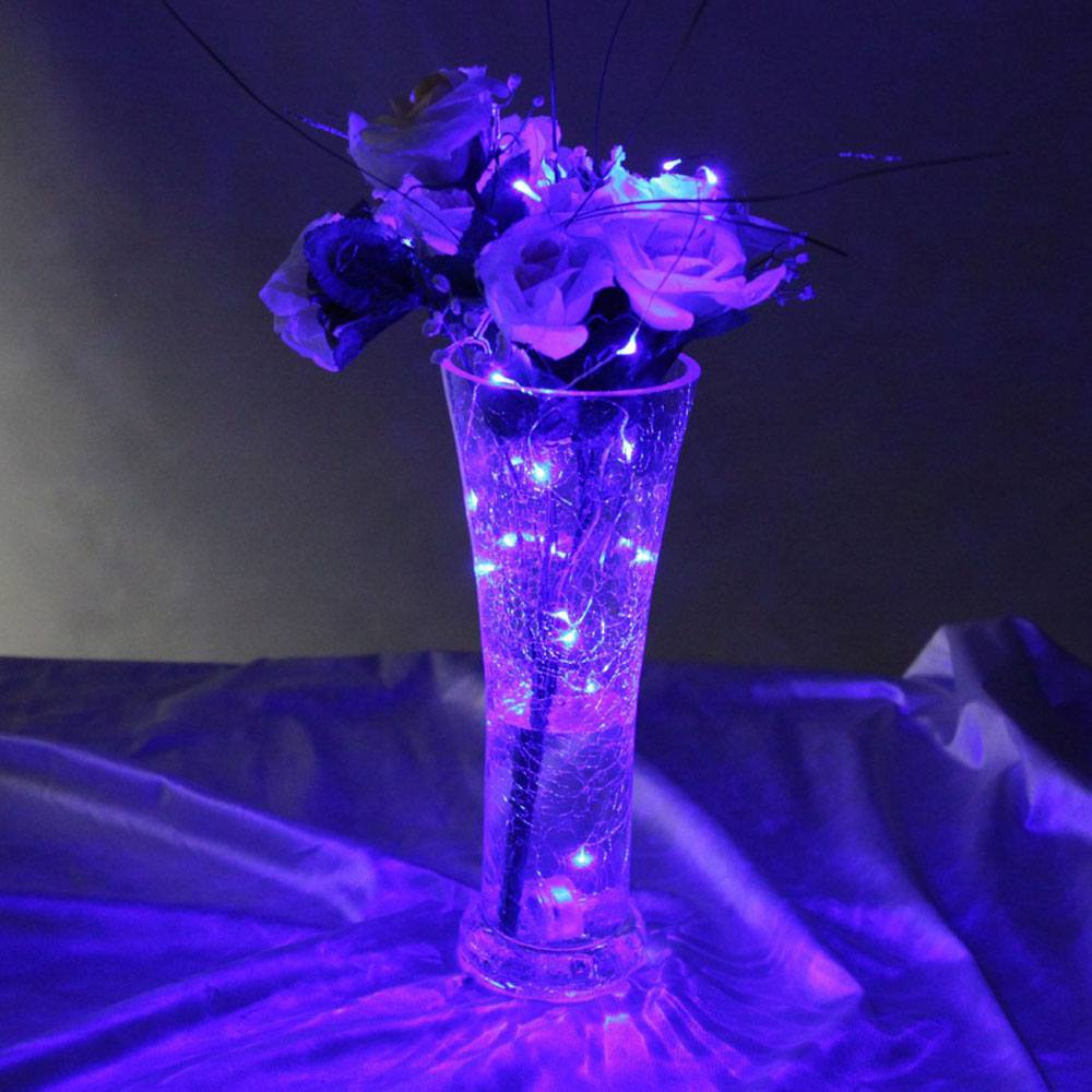 Micro Battery Fairy Lights on Silver Wire, 20 Purple LEDs : in vase