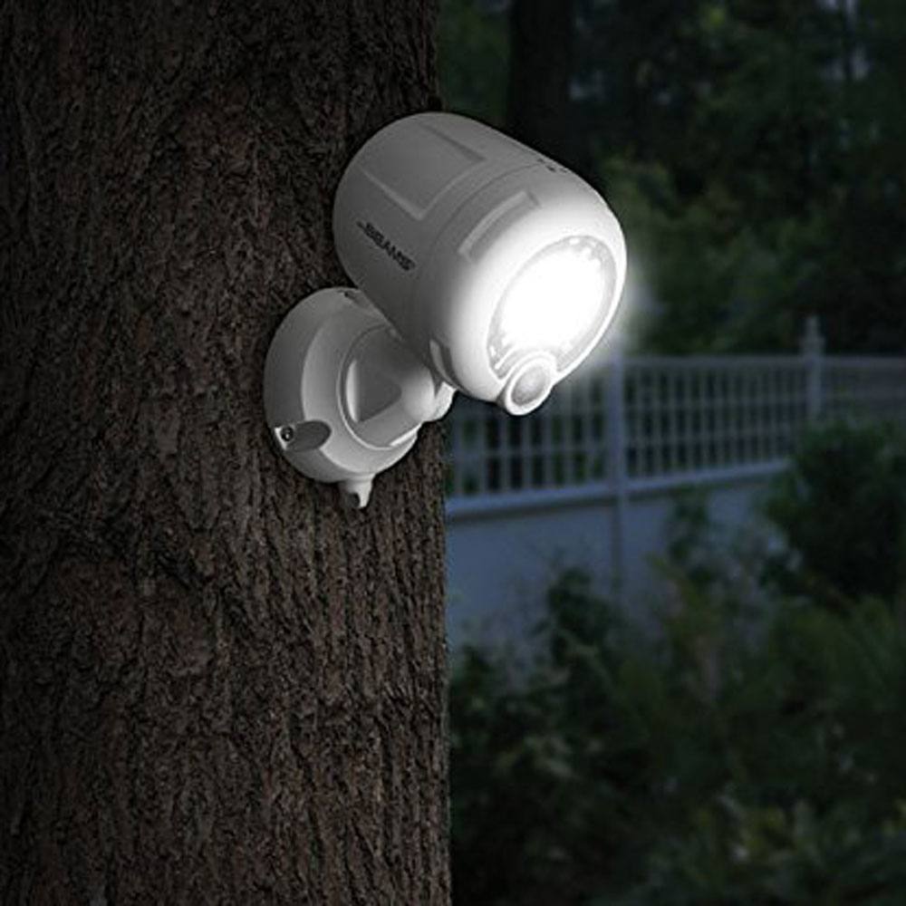 Battery Spotlights in white night time installed on tree in garden