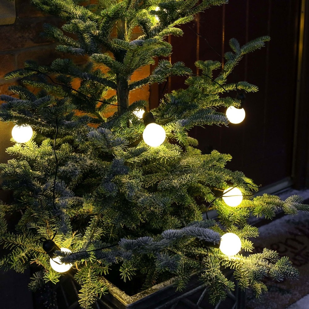 Battery Festoon Lights 10 Warm White on christmas tree outside close up