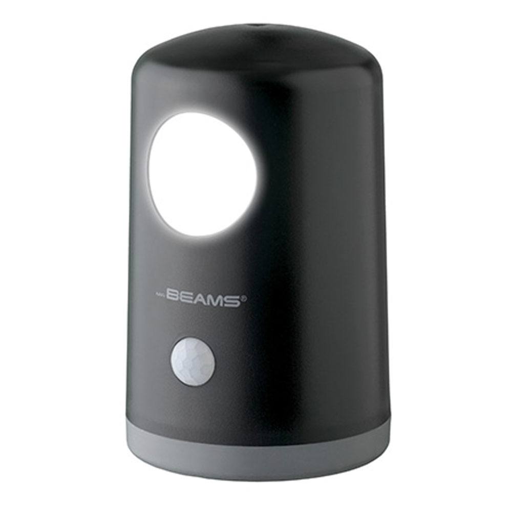 Battery Operated Wireless Motion Activated Light 