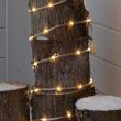 ConnectGo Led Rope Lights on brid feeder in garden
