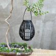 Faux Rattan Solar Lantern