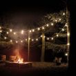 Festoon Lights Connectable Frosted Bulb White Cable in trees