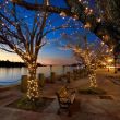 Ellipse Solar Garden String Lights with USB Hybrid Power Used on a Christmas tree outsider home