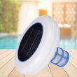 Solar Pool Ionizer