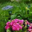 Solar Sprinkler Garden Watering System
