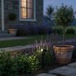 High Lumen 4‑Head Solar Garden Spotlight – Adjustable Outdoor LED In a garden highlighting a lawn area showing the two brightness settings 