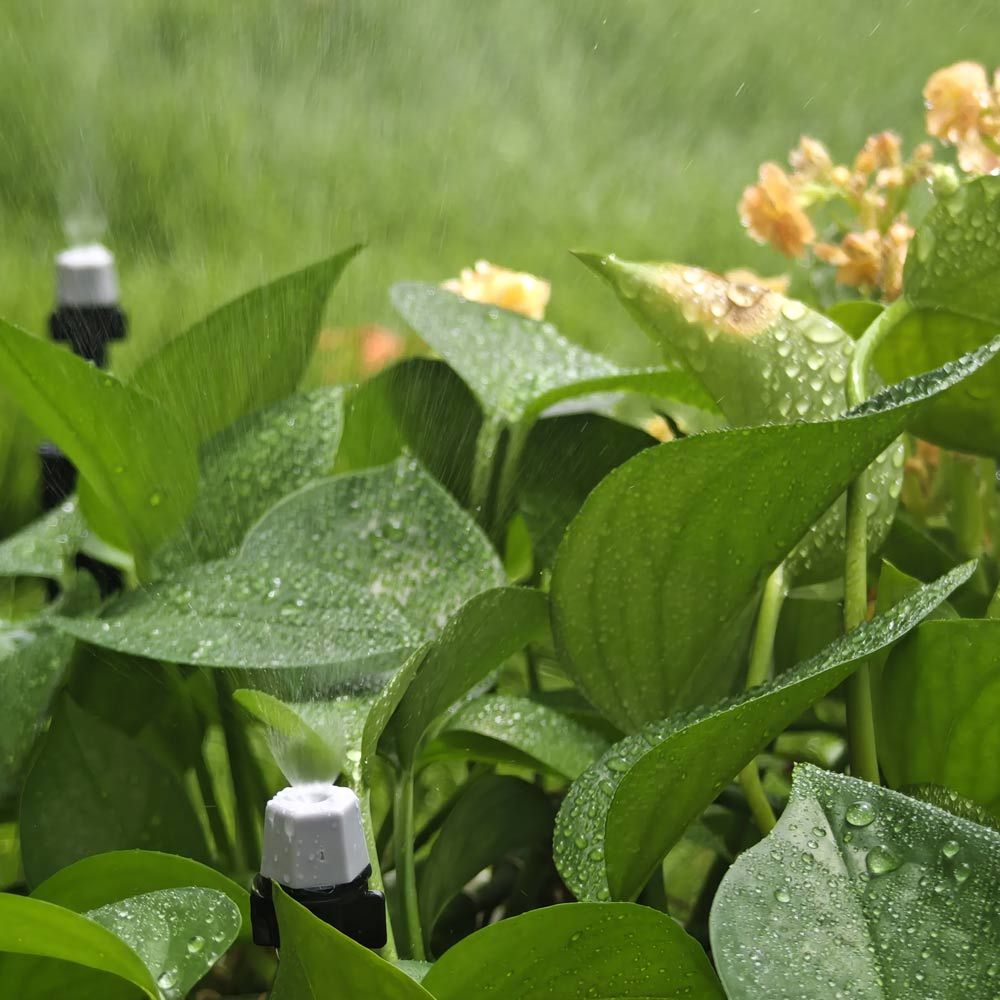 Solar Powered Greenhouse Watering System