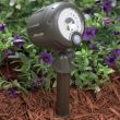 Battery Spotlights XT with Ground Stake located in garden border