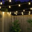 Festoon Lights Connectable Frosted Bulb White Cable in trees