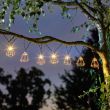 Geo Solar String Lights hanging in tree during daytime