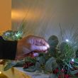 Micro Battery Fairy Lights on Silver Wire, 20 White LEDs