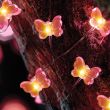 Smart Solar 30 Butterfly Firefly String Lights showing box