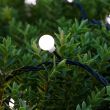 Solar Berry Lights on Xmas Tree