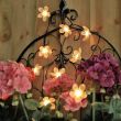 Solar Flower Lights Cherry Blossom 100  showing function & on / off buttons