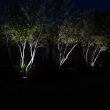 Custodian Solar Garden Spot Lights : back of light