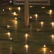 Solar Outdoor Fairy Lights 50 Warm White showing leds