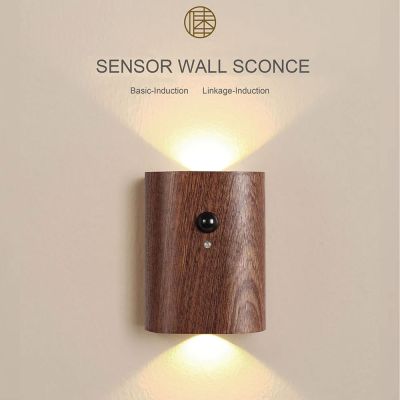 Battery Motion Sensor Light