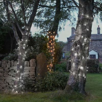 ConnectPro Outdoor Lights Flash Bulb, Black Cable on trees in garden