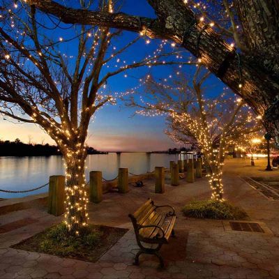 Ellipse Solar Garden String Lights with USB Hybrid Power Bing used on trees outside
