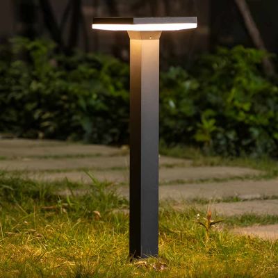 Premium Dual Color Solar Pathway Lamp | Remote Control Pathway Lighting