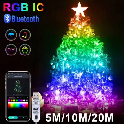 Smart Outdoor Battery Led Christmas Lights
