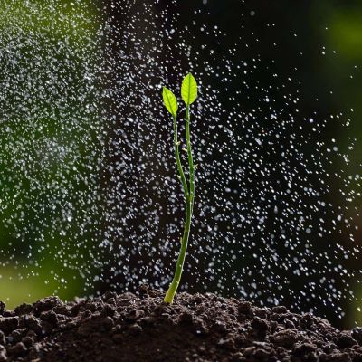 Solar Powered Greenhouse Watering System