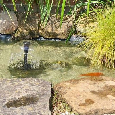 5W Solar Pond Fountain Kit | 520LPH Flow | 2.9ft Spray Height