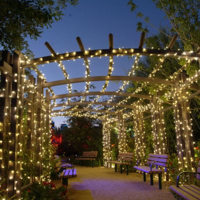 Outdoor Battery Fairy Lights 500 LEDs on pergola in garden