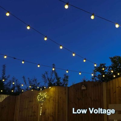 Outdoor Festoon Lights Clear Bulbs Black Cable in garden attached from fence