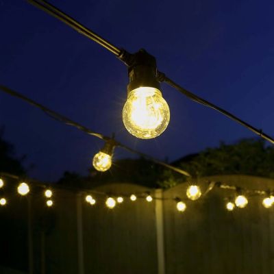 Outdoor Festoon Lights Connectable Clear Bulb in garden