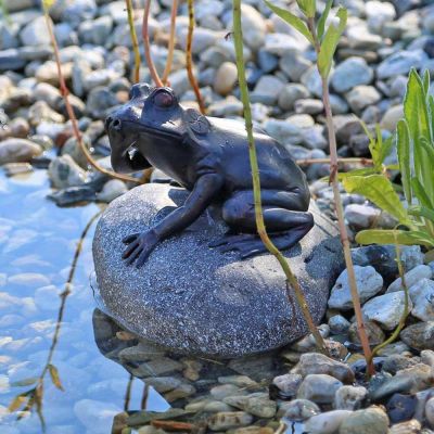Solar Frog Pond Spitter on Rock