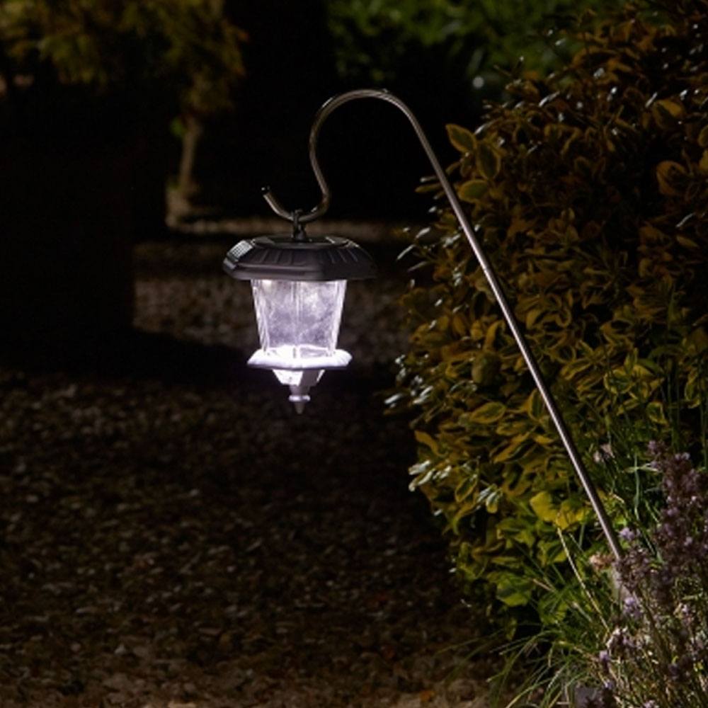 Hansom Carriage Lantern (2 Pack) in garden at an angle (close up)