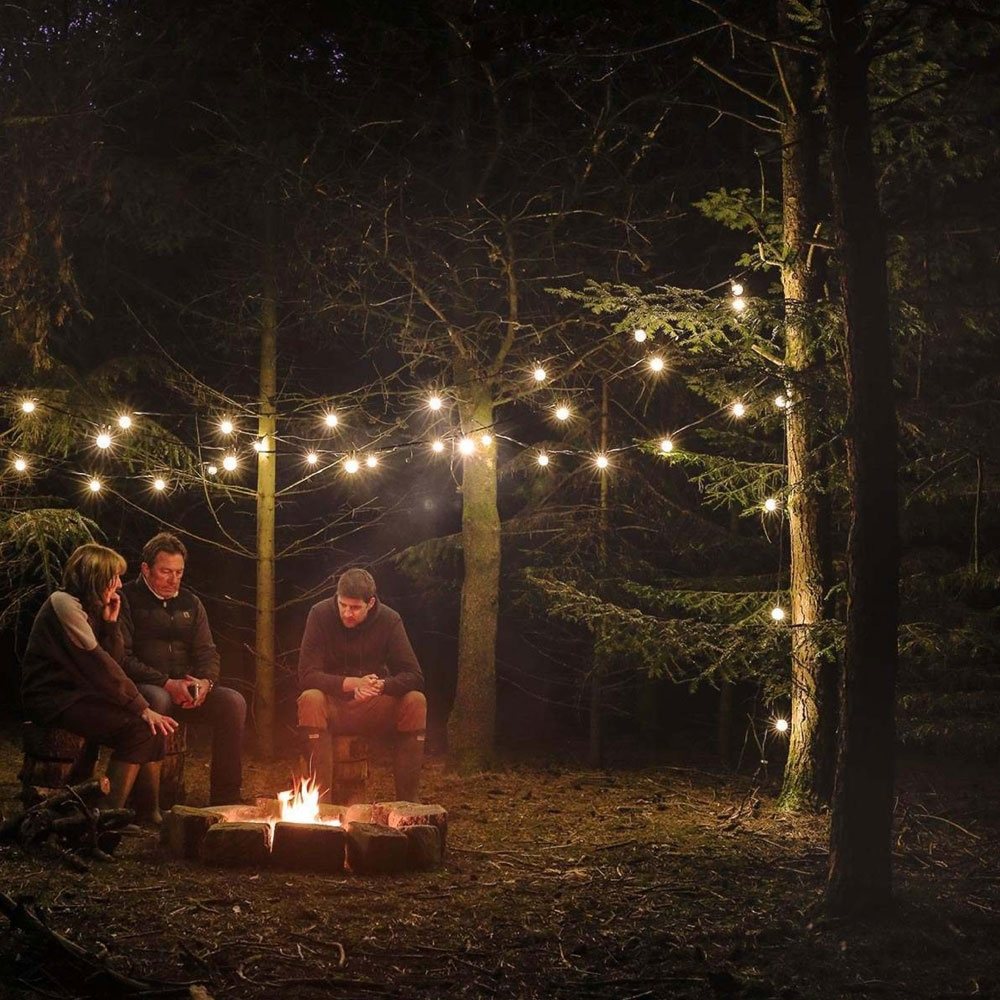 Outdoor Festoon Lights Connectable Clear Bulb hanging in trees