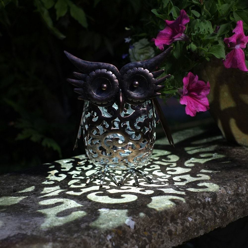 Solar Owl Silhouette Light at night close up