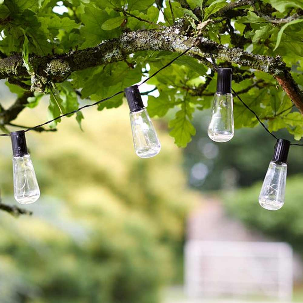 Solar Powered Festoon Lights Vintage Bulbs in tree during day