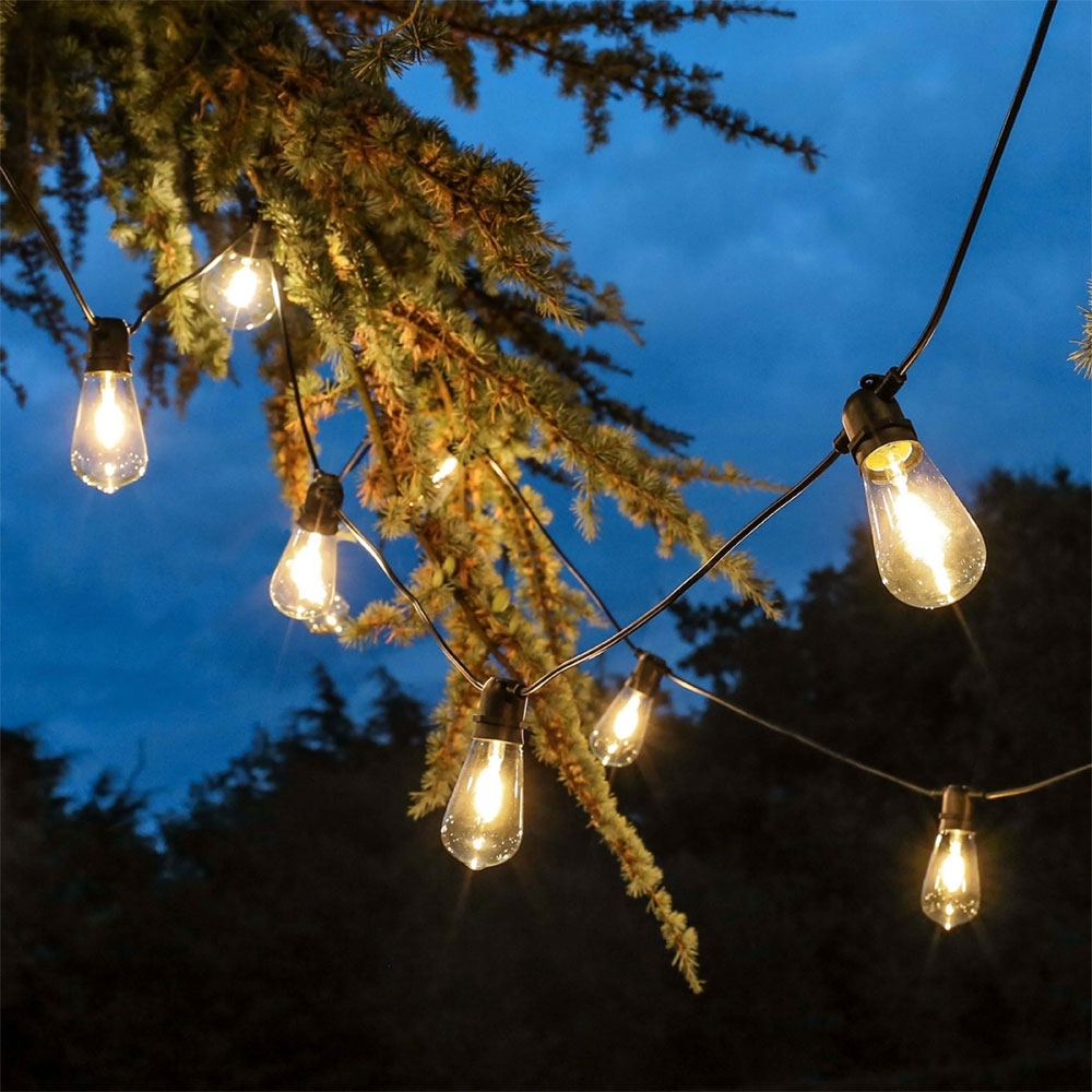 Tulip Style Outdoor Festoon Lights in branches of tree