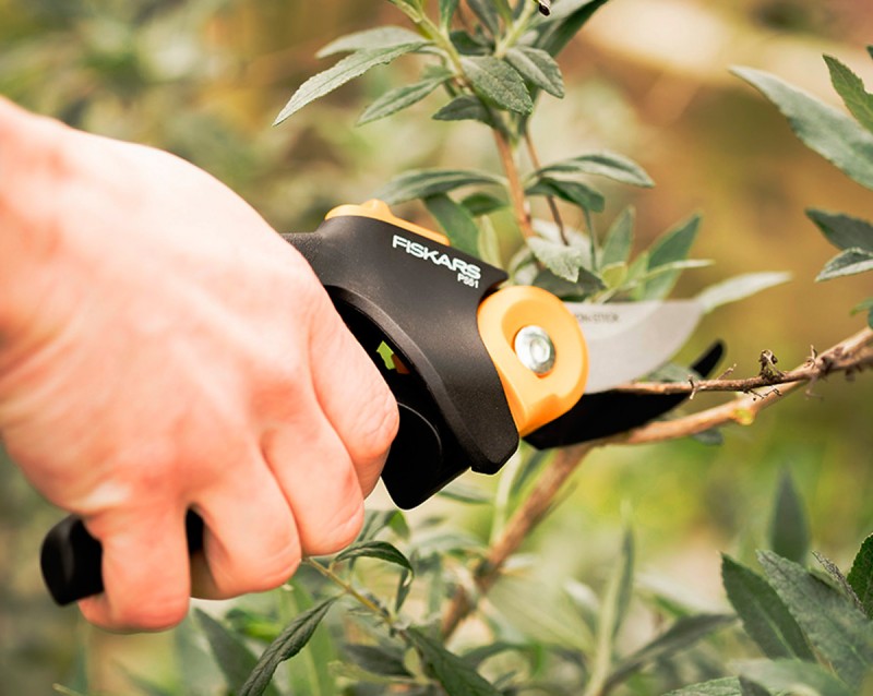 7 Steps to Creating the Perfect Spring Garden : Pruning