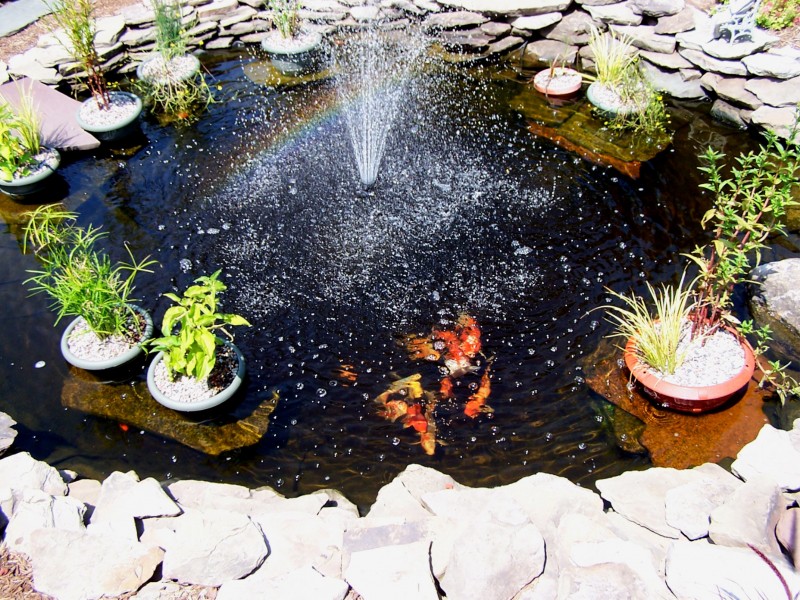 7 Steps to Creating the Perfect Spring Garden : water feature 