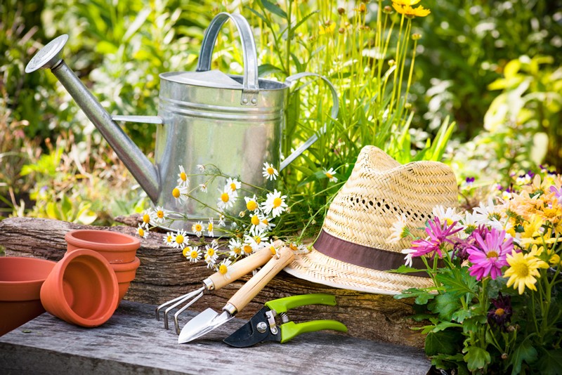 7 Steps to Creating the Perfect Spring Garden