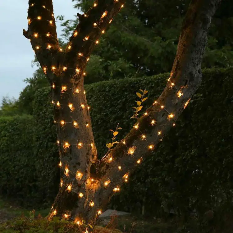 Fairy Lights