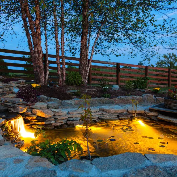 Pond Supplies